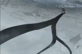Image result for shikamaru shadow jutsu