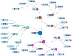 Plans the delivery of health services; On The Missing Link Between Formal Organization And Informal Social Structure Journal Of Organization Design Full Text