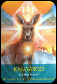 Archangel Animal Oracle Cards By Diana Cooper Kangaroo Be A Force For Good Archangels Roquiel Gerisisa An Animal Tarot Cards Animal Tarot Animal Symbolism