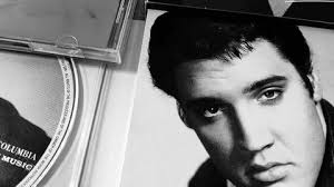 499 Aaron Stock Video Footage