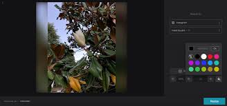 Maybe you would like to learn more about one of these? How To Fit A Whole Picture On Instagram Clideo