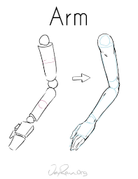 How to draw human body like jaiden animations. How To Draw The Human Figure Jeyram Spiritual Art