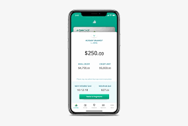 To set up your direct debit online, you'll need your bank or building society account number and sort code. Next Time Try Pay My Provider In The Carecredit App Iphone X 250x486 Png Download Pngkit
