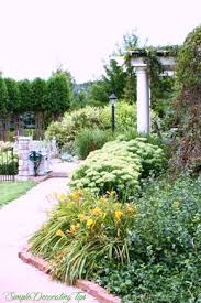 We did not find results for: Transplanting Stella D Oro Daylilies Simple Decorating Tips
