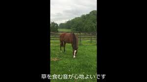 4k00:12innovation online trading stock market resection business meeting brainstorm ideas financial project business man entreprener analyzing data success strategy 3dグラフとチャートのアニメーションred 8 k. ã‚ã‚‹æ—¥ã®ãƒ¡ã‚¤ã‚·ãƒ§ã‚¦ãƒ‰ãƒˆã‚¦ Youtube