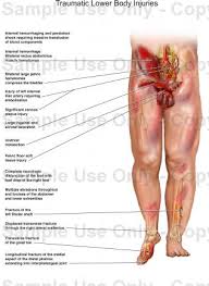 We hope this picture human body artery diagram in detail can help you study and research. Anatomy Of The Lower Body