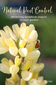 Smear fecal matter in your doorways: Natural Pest Control Attracting Beneficial Insects To Your Garden Garden Therapy