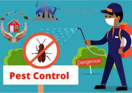 Whether you need pest control, termite control, bed bug treatment, attic insulation service or crawl space services, we're here to protect your home. Pest Control Dubai Services Pest Control Services For Home