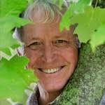 Mockingbird Song Bout