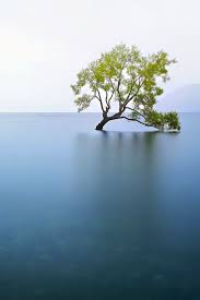 Amazing Lakes Beautiful Nature Nature Lake Wanaka