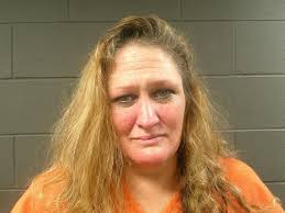 April Branson was arrested for the following charges and being held at the  McDonald county jail. 1. Burglary 2nd degree 2. Property damage first  degree. Remember all suspects are presumed innocent until
