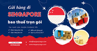 Gửi Hàng Đi Singapore Nhanh Chóng Chỉ 24h | Hàng Mỹ Cargo