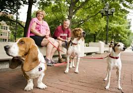 People-watching in the Diag