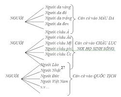 Phân chia khái niệm