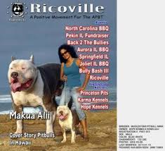 Tn knoxville tennessee nashville tn memphis tn texas: Muglestons Pitbull Farm Pitbulls For Sale Pit Bulls For Sale Pitbull Kennels Pitbull Dogs Pit Bull Dogs