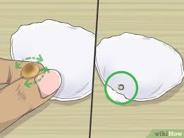 Make crafts or jewelry with your shells. How To Drill A Hole In A Seashell Without A Drill 11 Steps Seashell Projects Shell Crafts Diy Seashell Crafts