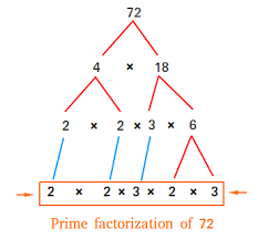 What are the factors of 72? What Is A Prime Factorization Definition And Examples