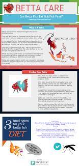 Can Betta Fish Eat Goldfish Food Tropical Fish Care Guides Goldfish Food Fish Care Betta