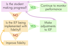 Iris Page 6 Monitoring Iep Fidelity And Student Progress