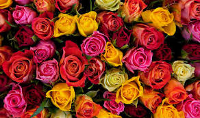 With vegan valentine's food and delightfully decadent desserts, we've got the whole day covered. Successful Valentines Day For Colombian Flowers
