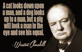 Quotes About Churchill 171 Quotes