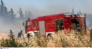 Μεγάλη πυρκαγιά στον πολυπόταμο καρύστου Fwtia Sthn Karysto Debater