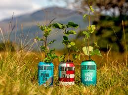 Brewdog Becomes Carbon Negative Food Beverage Industry News I found that this holds the carbonate better than the. brewdog becomes carbon negative food