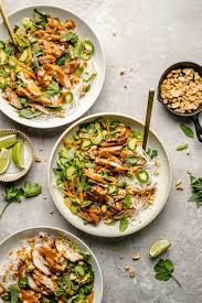 Spring Roll-Inspired Grilled Chicken Salad - The Defined Dish