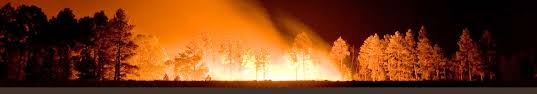 Огонь почти как в старые добрые. Nwcg Nwcg Is An Operational Group Designed To Coordinate Programs Of The Participating Wildfire Management Agencies