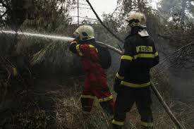 Φωτιά έχει ξεσπάσει σε δασική έκταση στα μεσοχώρια ευβοίας, ενώ έχουν κινητοποιηθεί επίγειες και εναέριες δυνάμεις. Bjj2okily1sa M