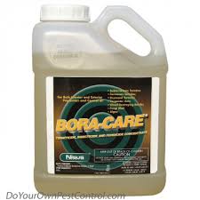 Bora Care Concentrate Do It Yourself Pest Control Wood Treatment Drywood Termites Termite Treatment