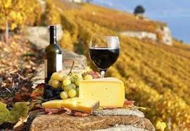 Fotos Von Carmen Gerhardt Essen Und Wein Italienischer Wein Toskana