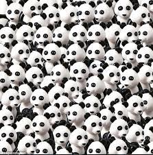 We did not find results for: Can You Spot The Dog Hidden Among The Pandas Daily Mail Online