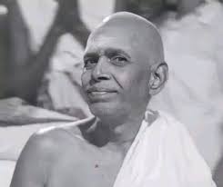 Why worry about birth and rebirth if it feels like the first time?