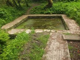 Plouider Jardin D Eau Lavoir Jardins