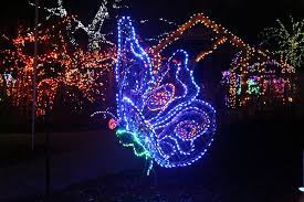 25 Advance Sale Tickets Now Available At The Gift Shop At Brookside Gardens Step Into A Magical Winter Wonderland Illuminate Garden Of Lights Brookside Lights