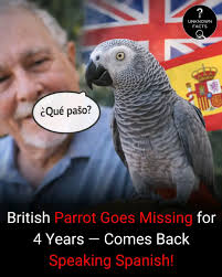 Join Weird & Wonderful Facts