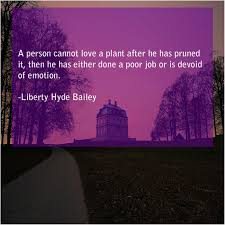 Liberty Hyde Bailey A Person Cannot Love A Lewis Thomas Daily Motivation Charles Stanley