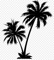 Beach Black And White Palm Tree Clip Art Pin By A Scientific Artist On Cricut In 2020 Palm Tree Art Palm Tree Clip Art Palm Tree Silhouette