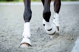 The Science Behind Equine Boots And Bandages The Horse