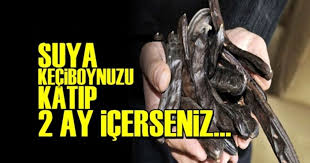 Keciboynuzu Icerisinde Yer Alan Etken Madde Baska Hicbir Bitkide Bulunmuyor Kemik Erimesi Kolesterol Astim Nefes Darligi Bagirsaklar The Cure Health B12