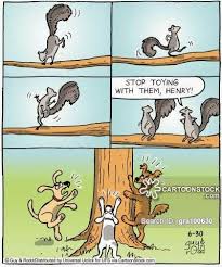 Marian S Hunting Stories Etc Etc Etc Squirrel Funny Funny Animal Photos Squirrel Season