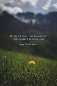 Time For Stillness In 2020 Gratitude Quotes Inspiration Wisdom Quotes Life Nature Quotes