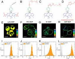 A number of studies have reported obtaining different properties for pfsas, depending on their processing conditions. Complete Microviscosity Maps Of Living Plant Cells And Tissues With A Toolbox Of Targeting Mechanoprobes Pnas