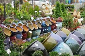 Mixed Used Building Could Grow At The Sloat Garden Center Garden Center Garden Growing