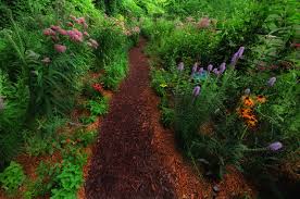 For more information contact keep. John S Butterfly Garden In Michigan Finegardening