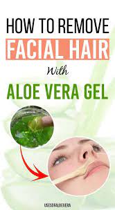 Apply the mixture to your face, avoiding the delicate skin around your eyes. How To Remove Facial Hair With Aloe Vera Gel Aloe Vera Skin Care Aloe Vera Face Wash Aloe Vera For Skin