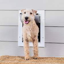 Maybe you would like to learn more about one of these? Amazon Com Petsafe Wall Entry Pet Door With Telescoping Tunnel Medium For Pets Up To 40 Lb White Made In The Usa Pet Supplies