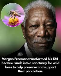 A message from Jeremy, Mike Perkins' son for anyone who knew him.