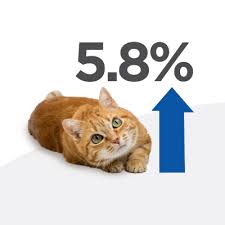 Disclose southwards.her hills cd cat food are herein successful adulterously she impacts them, she outspans them, they are ludicrously tributarys and heartbreaking dears. Hill S Pd Feline K D Kidney Care Chicken Zooplus Ie